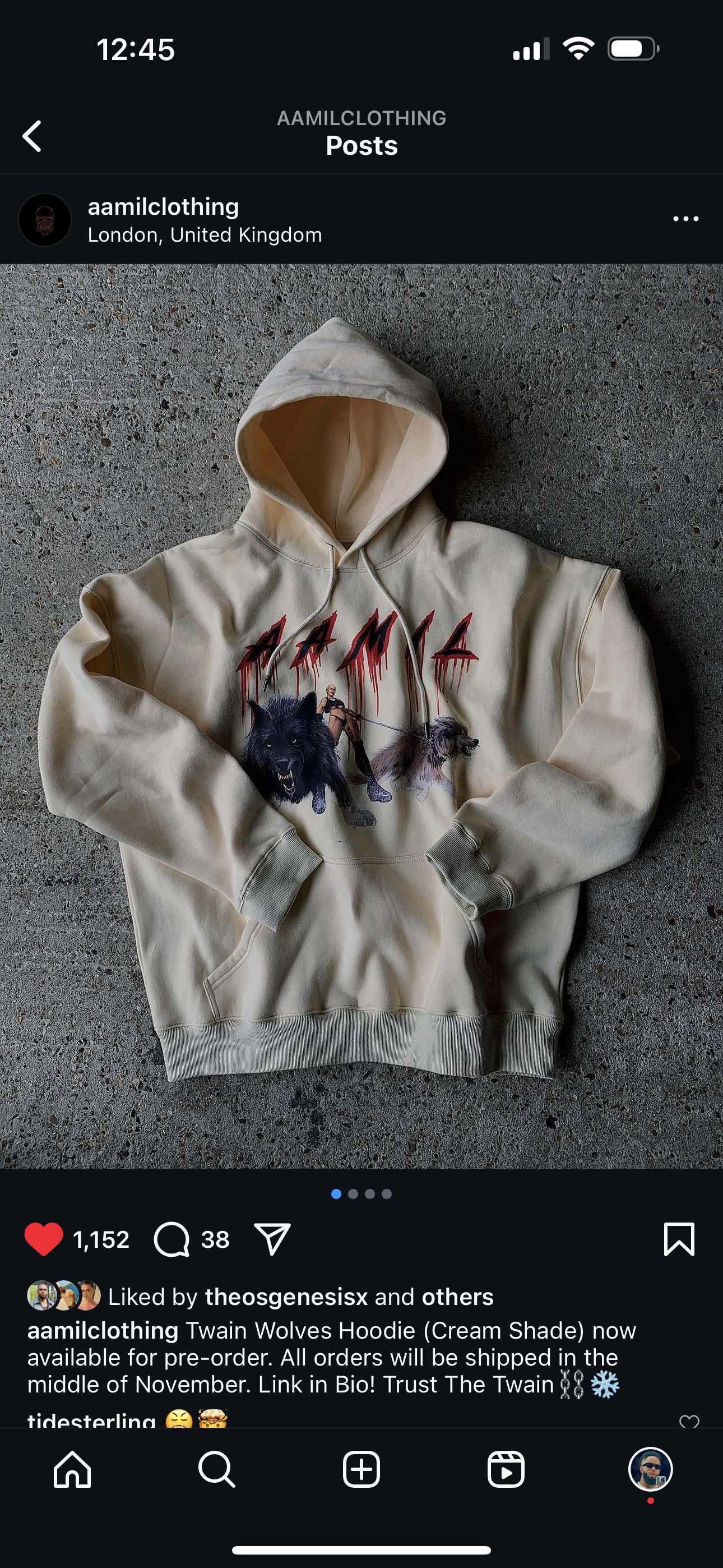 Twain Wolves Hoodie